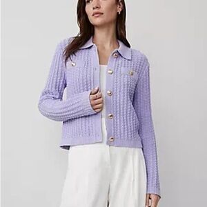 Ann Taylor Lavender Knit Sweater